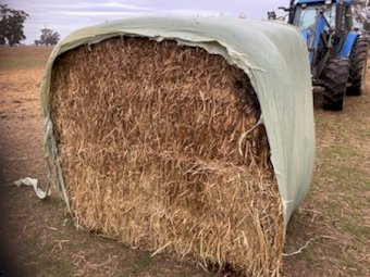20mt Oaten Silage With A Trace Of Vetch