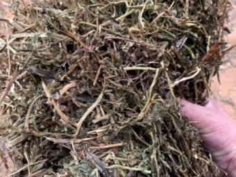 500mt Vetch Hay 680kg 8x4x3 Bales + Freight