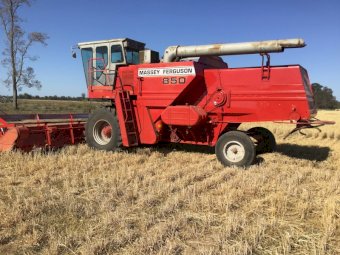 1982 Massey Ferguson 850 Header 24' Front