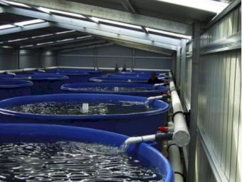 Polymaster 2,000 Ltr Fertigation Tank Plus Base & Venturi Fitout