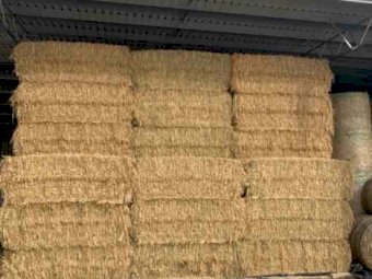 Oaten Hay Shedded