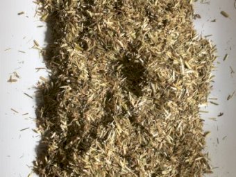 500mt Oaten Hay 500-550kg 8x4x3 Bales