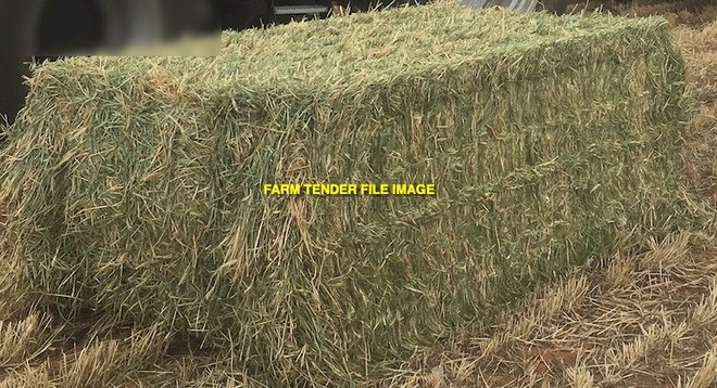 Expressions of interest in New season 22/23 Oaten hay 