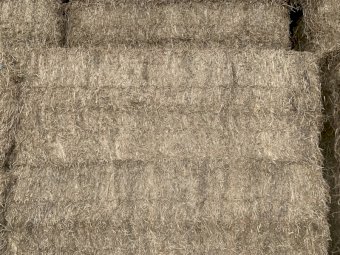 Vetch Hay 500kg 8x4x3 bales