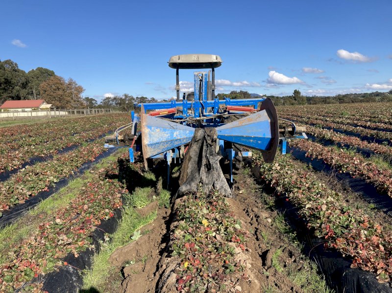Mulch Lifter