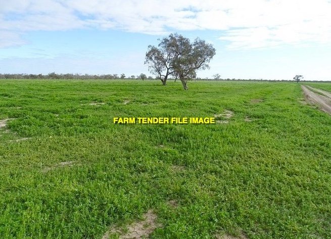 WANTED Land to Lease/Sharefarm/buy