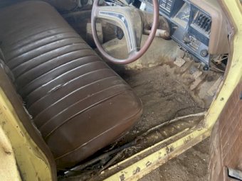 1981 WB Holden Ute