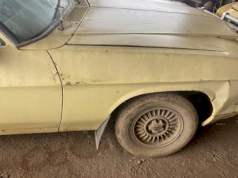 1981 WB Holden Ute