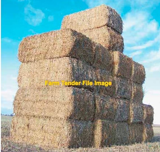 Canola Hay 550kg 8x4x3 Bales + Freight