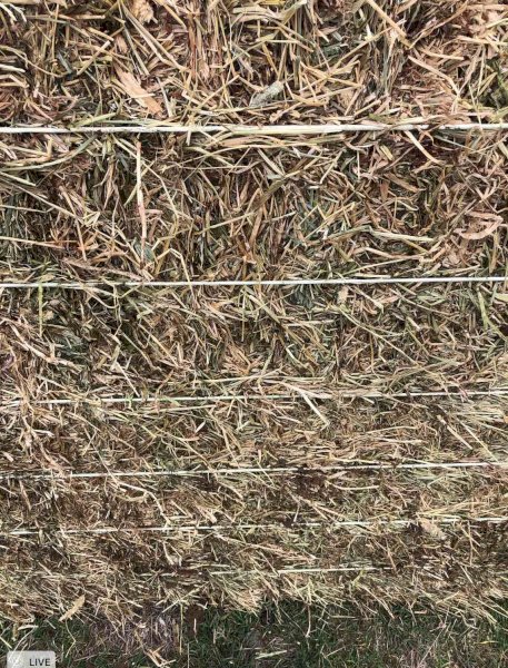 250mt Clover & Rye Hay 500-540kg 8x4x3 Bales