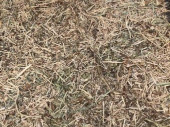 250mt Clover & Rye Hay 500-540kg 8x4x3 Bales
