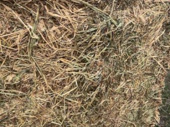 250mt Clover & Rye Hay 500-540kg 8x4x3 Bales
