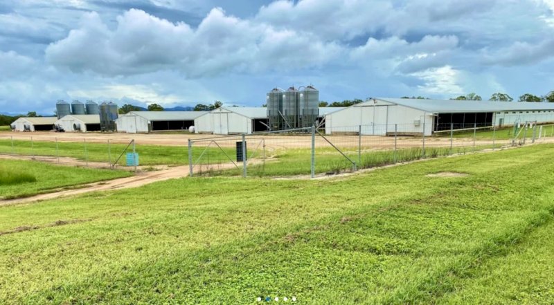 Broiler Farm For Sale