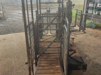 Under Auction - (A156)  Draffen Sheep Handler 