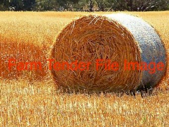 250 x Oaten Hay 5x4 Bales (Outside)