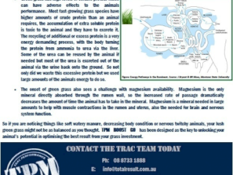 TPM BOOST GO GRASS OPTIMISER formulation for Cattle and Sheep