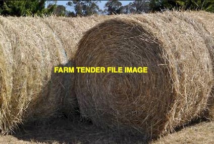 WANTED Annual Rye Grass Hay