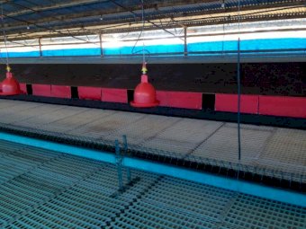 Jansen Barn Laid System, capacity 4000 hens