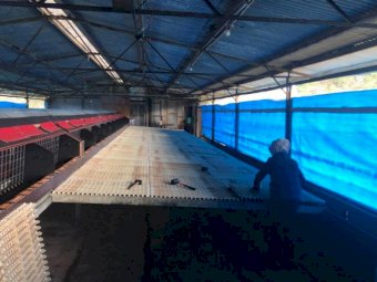 Jansen Barn Laid System, capacity 4000 hens