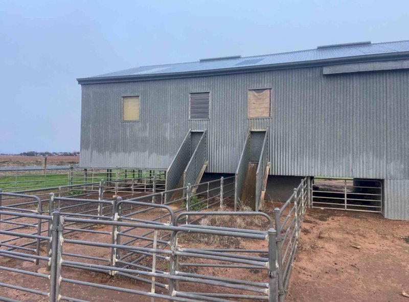 Shearing Shed For Sale