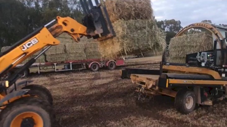 20mt Oaten Silage With A Trace Of Vetch