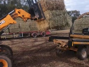 20mt Oaten Silage With A Trace Of Vetch