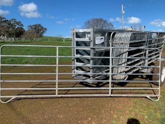 StockPro Portable Sheep Yards