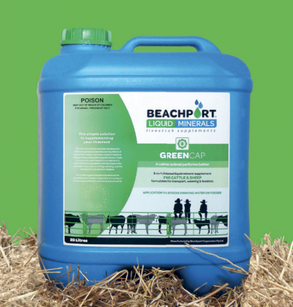 Beachport Liquid Minerals - Green Cap