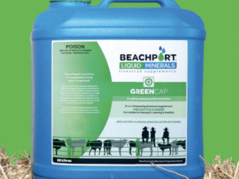 Beachport Liquid Minerals - Green Cap