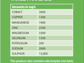 Beachport Liquid Minerals - Green Cap