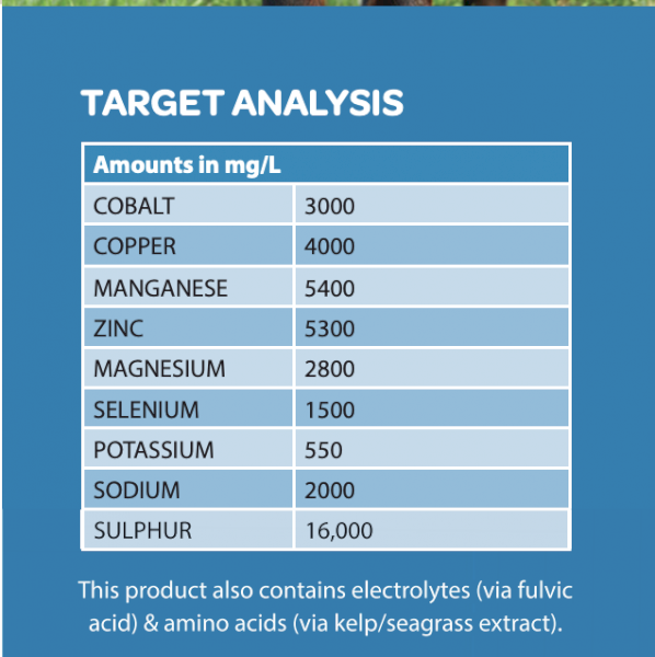Beachport Liquid Minerals - Blue Cap - Southern Region