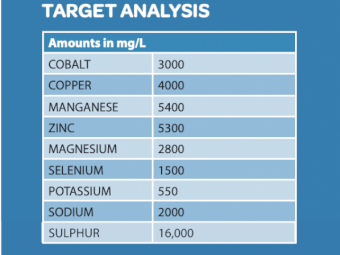 Beachport Liquid Minerals - Blue Cap - Southern Region