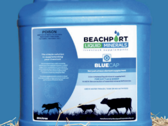 Beachport Liquid Minerals - Blue Cap - Southern Region