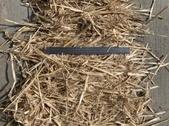 Barley Straw 500-550kg 8x4x4 Bales (Header Tailings)