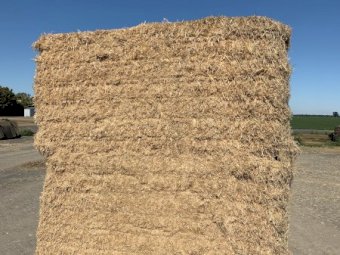 Barley Straw 500-550kg 8x4x4 Bales (Header Tailings)