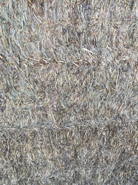 150mt Oaten Hay 620kg 8x4x3 Bales