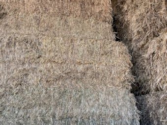 150mt Oaten Hay 620kg 8x4x3 Bales
