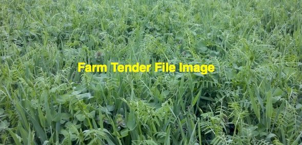 EOI WANTED Vetch Crop Standing or Share Basis