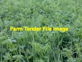 EOI WANTED Vetch Crop Standing or Share Basis