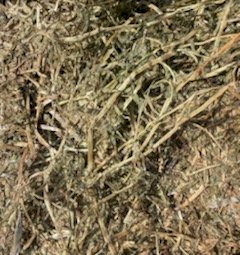 Vetch Hay