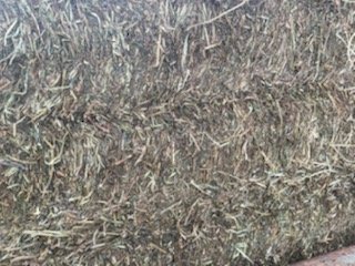 Vetch Hay