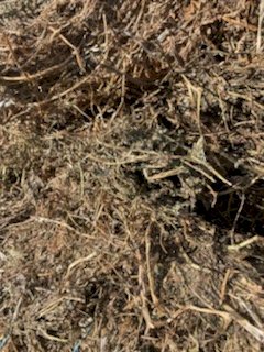 Shedded Vetch Hay