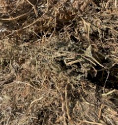 Shedded Vetch Hay