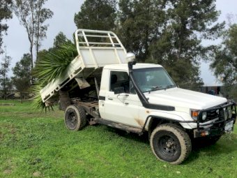 2002 Toyota Landcruiser with Tipping Tray
