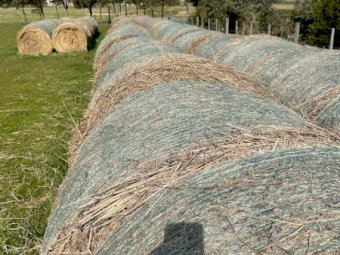 126 x 5x4 Rolls of Clover Rye and Oaten Hay