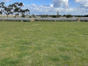 126 x 5x4 Rolls of Clover Rye and Oaten Hay