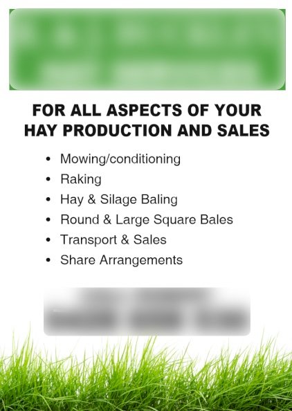 WANTED Standing Vetch & Clover Crops