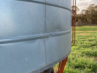 Macey Field Bin