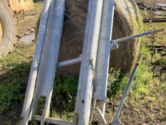 Head Bail