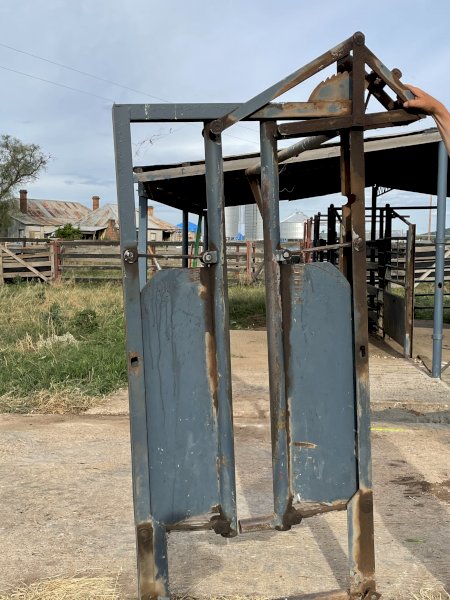 Cattle Head Bale